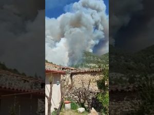 Incendio Ocentejo Guadalajara: Últimas Noticias y Actualizaciones